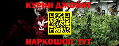 стаф Кимры