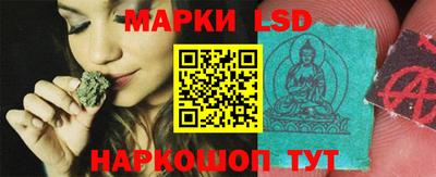 стаф Кимры