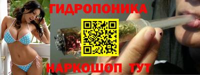 стаф Кимры