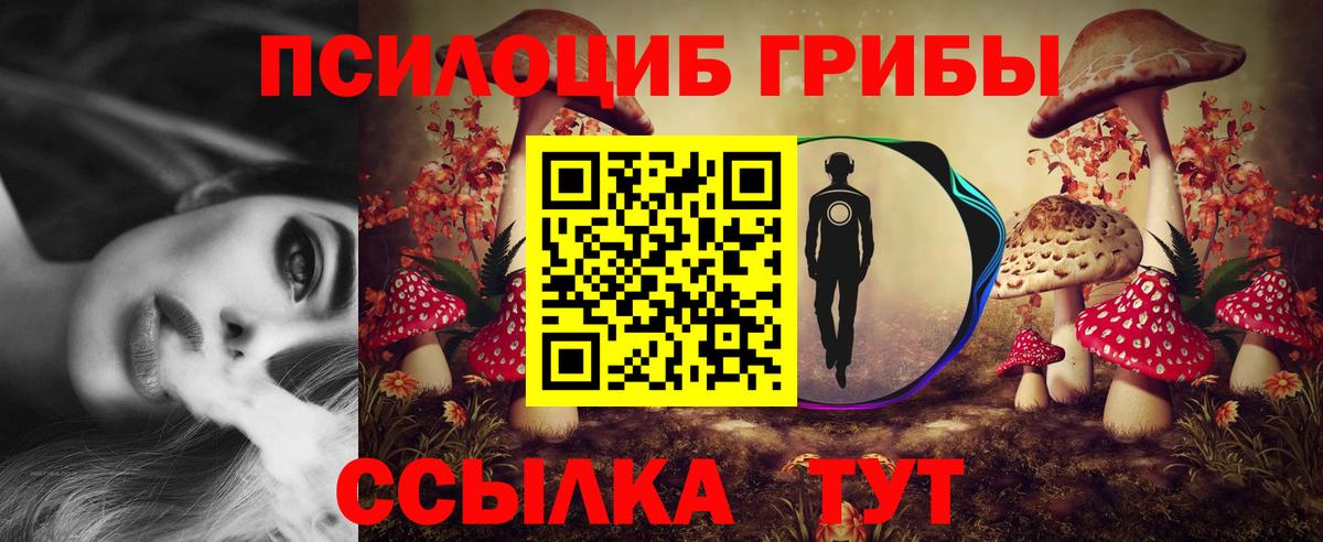 Кропоткин  Псилоцибиновые грибы MAGIC MUSHROOMS  Вход с VPN 